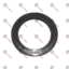 Radial Sealing Ring SCHWING OEM#10004226