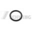 O-RING 18-72X2-62 OEM 10000361
