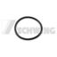 O-RING 25X2X1.78 OEM 10000442