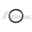 O-RING 32.93X3.53 OEM 10000497
