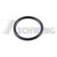 O-RING 48X5 OEM 10000705