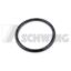 O-RING 60X5 OEM 10000765